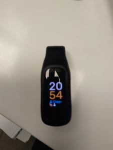 CS2130/2026 Fitbit